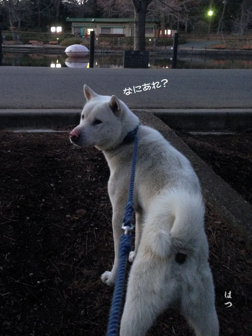 2015022102