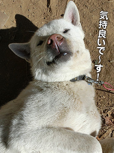 2012122606