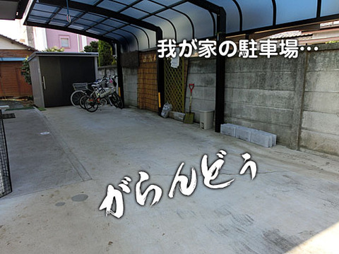 2013012606