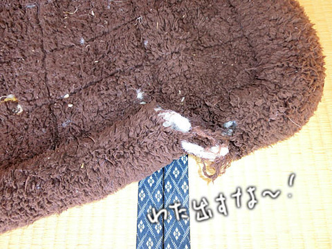 2013012101