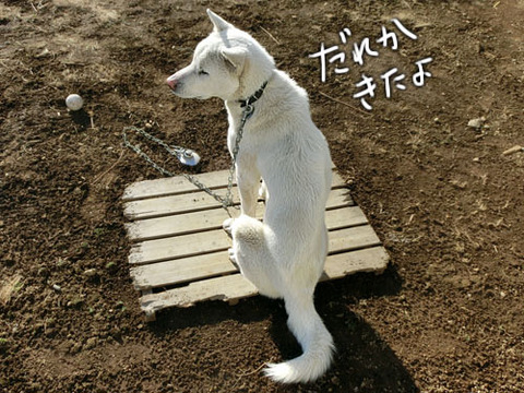 2013012001