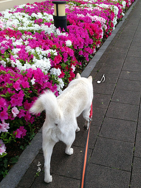 2014050901