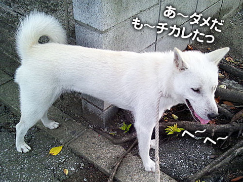2011072706
