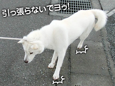 2010122301