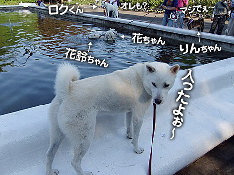 2011092809