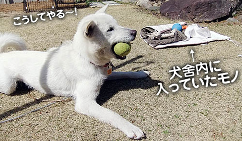 2011032704