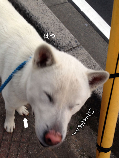 2013120901