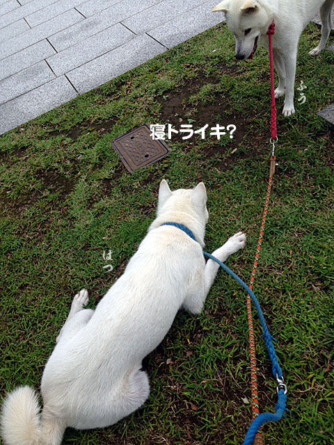 2014072503