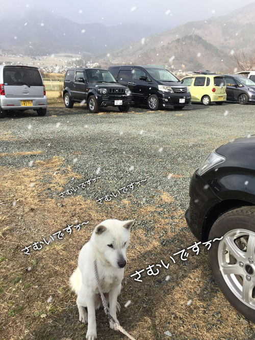 大宮の風