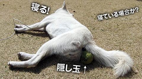 2011032709