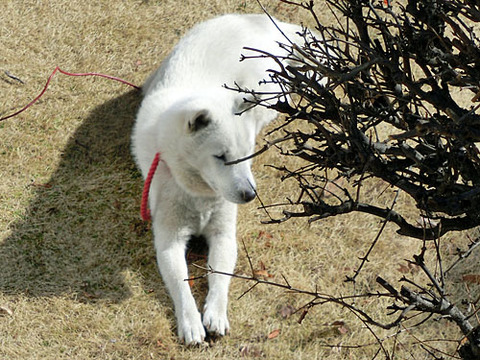 2013021603