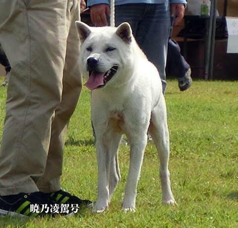 2014092304