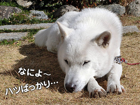 2012122607