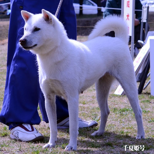 2017022809