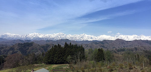 2019050804