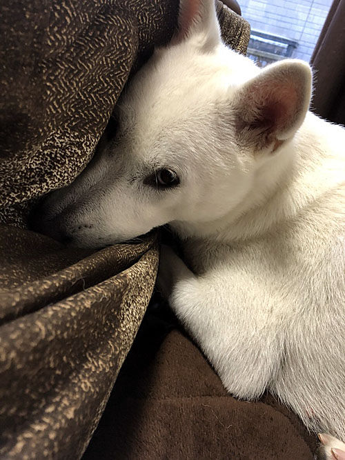 2019010506