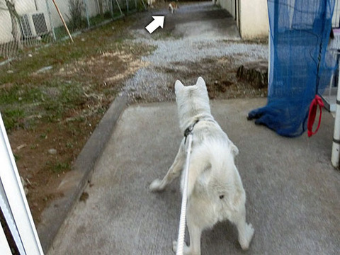 2013022003