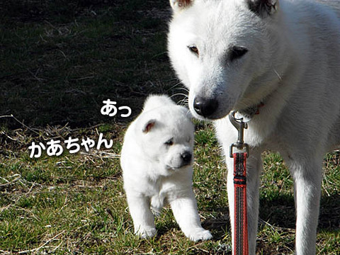 2012012506