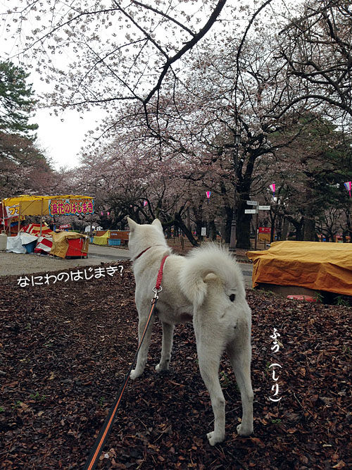 2014032801