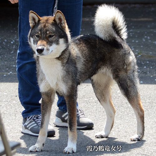 2018040309