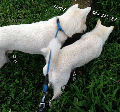 2014062905