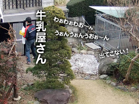 2010123002