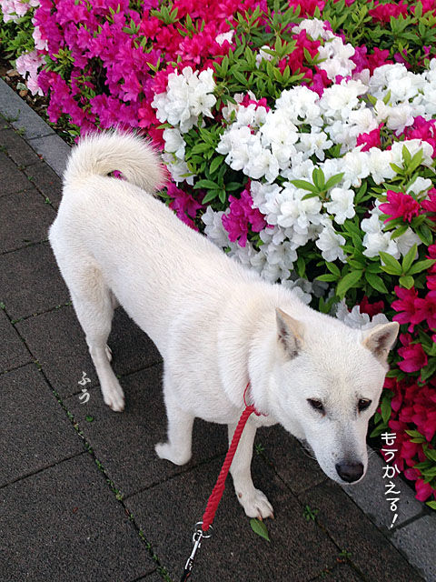 2014050907