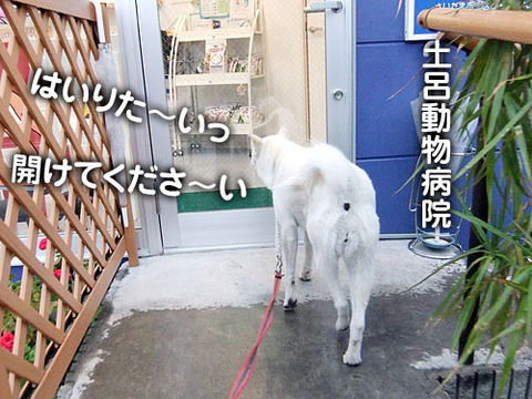 2011052317