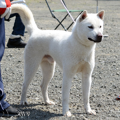 2018040305