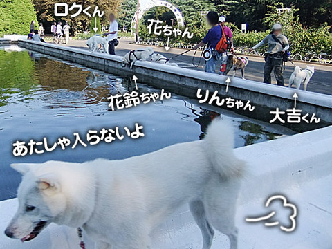 2011092807