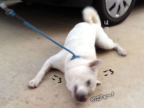2014062907