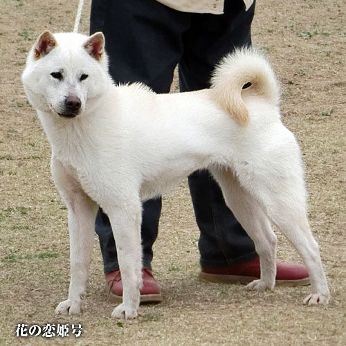 2015033106