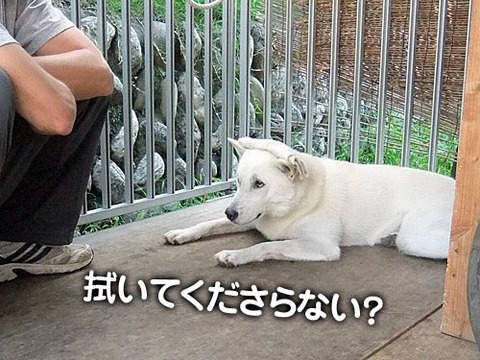 2011082808