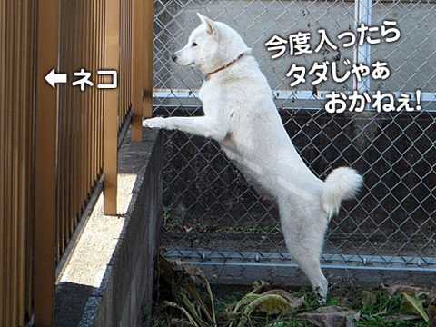 2011123003