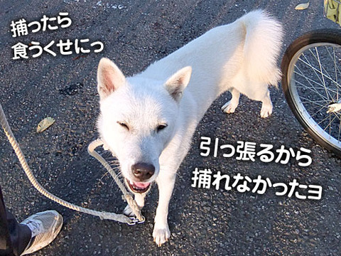 2011082805