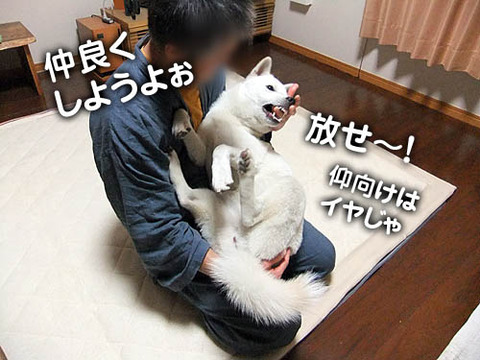 2010103006