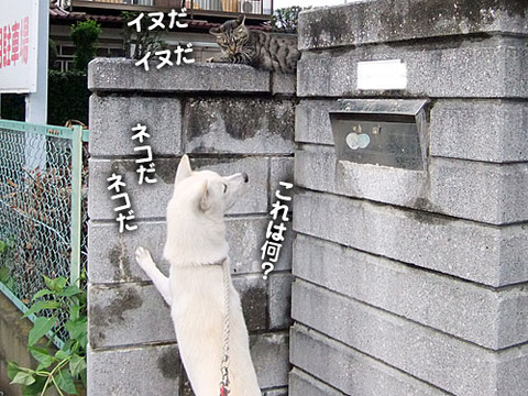 2011083003