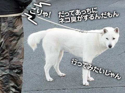 2010122303