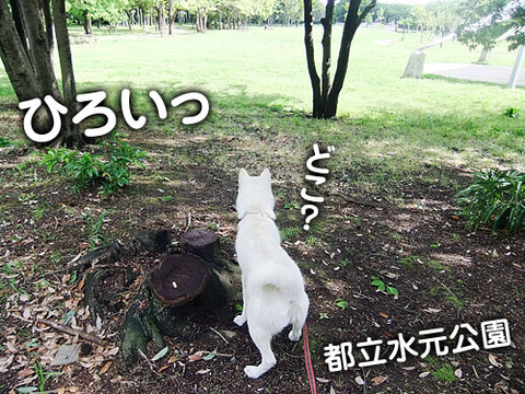 2011052502