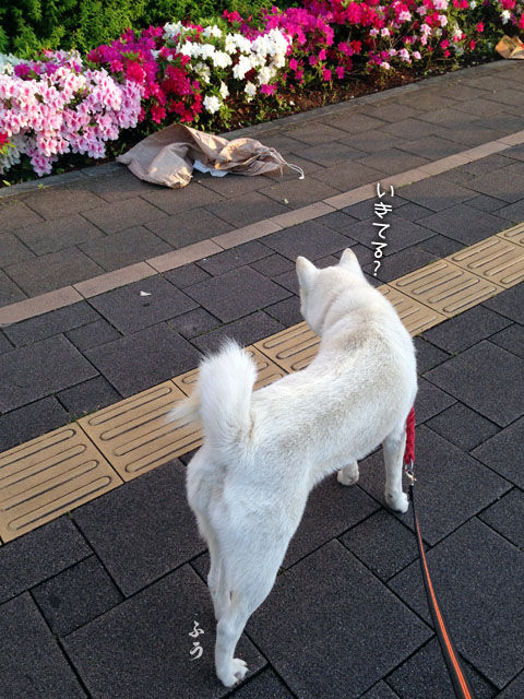 2014050903