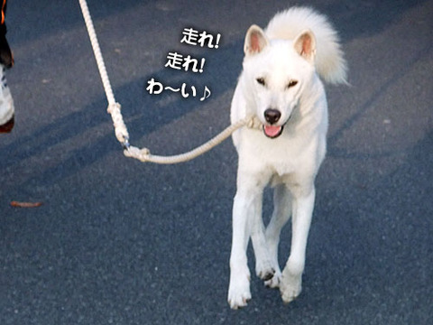 2011083007
