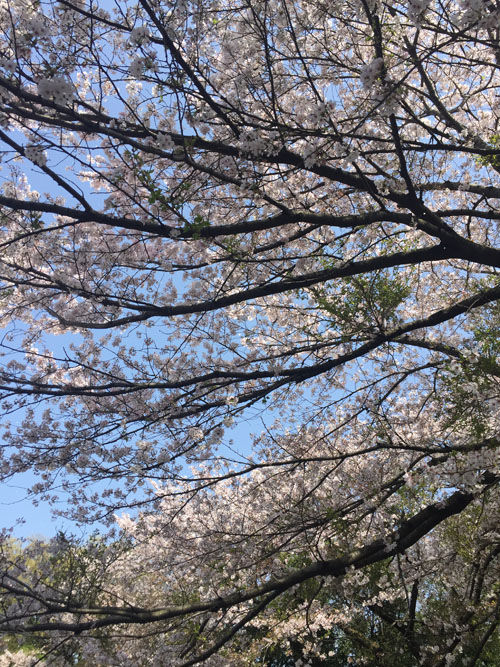 2018040311