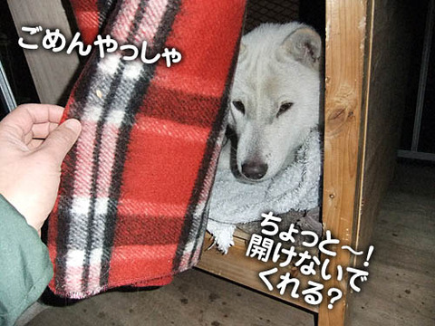 2010122704