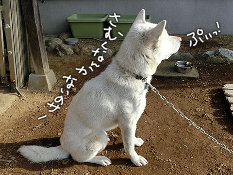 2013012105
