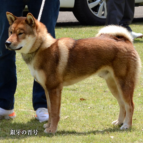 2019043004