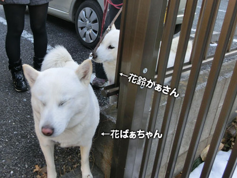 2013012003