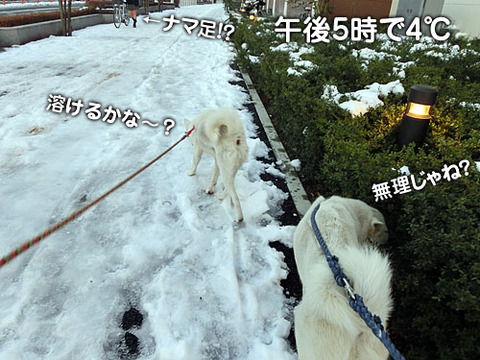 2013011705