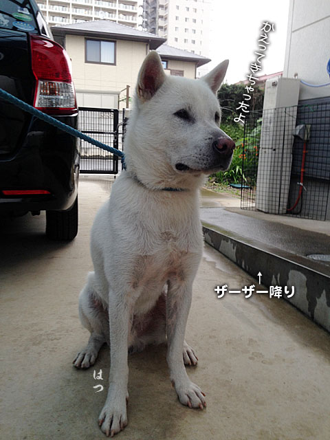 2014072005