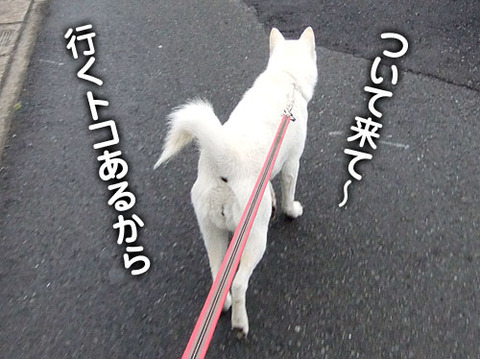 2011052307