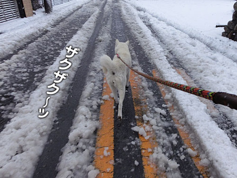 2013011404